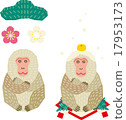 A monkey 17953173