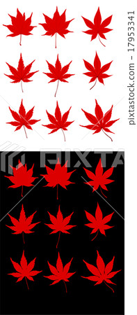 楓樹輪廓 17953341