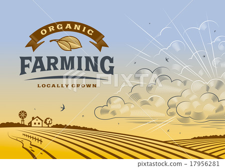 Organic Farming Landscape 17956281