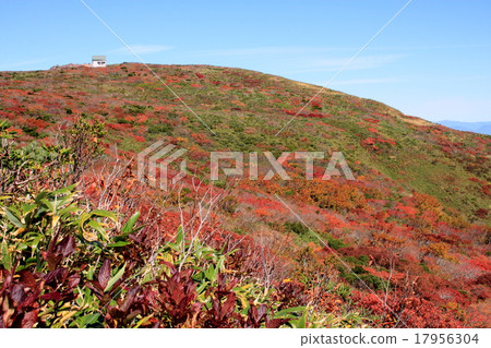 Ship mountain autumn 17956304