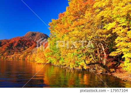 Autumn leaves of Towada Lake 17957104