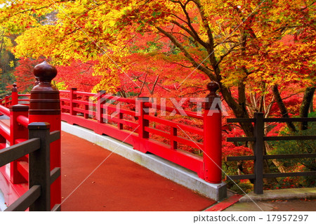 Autumn leaves of Yahiko Park Momiji Valley Autumn leaves of Yahiko Park Momiji Valley 17957297
