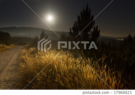 night summer lanscape with road night summer lanscape with road 17968823