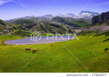 landscape with lake and pasture landscape with lake and pasture 17968877