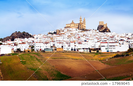 General view of old andalusian town. Olvera 17969045
