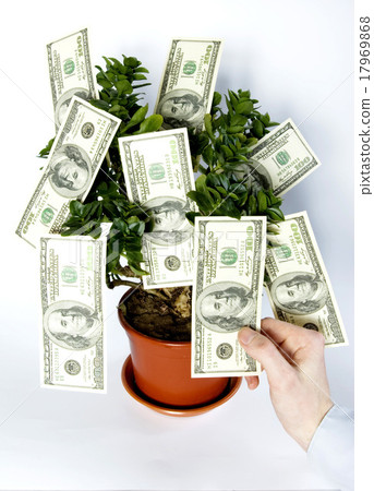 tree of money tree of money 17969868