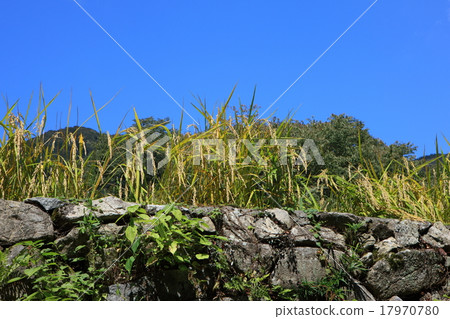 從岩崎的梯田 從岩崎的梯田 17970780