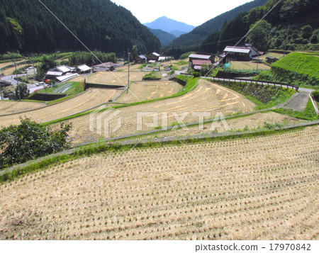 Rice Terrace Rice Terrace (Ishidari no Tana) Rice Terrace Rice Terrace (Ishidari no Tana) 17970842