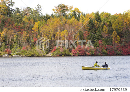 白色葉子葉子 17970889