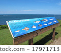 紐約州長島東部末端蒙托克燈塔海角魚標誌和水平線 17971713