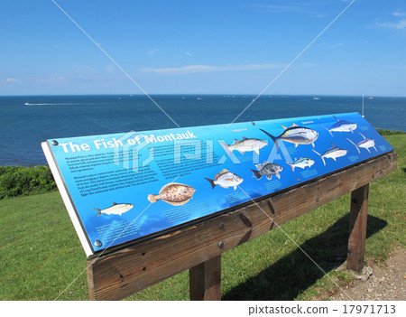 紐約州長島東部末端蒙托克燈塔海角魚標誌和水平線 17971713