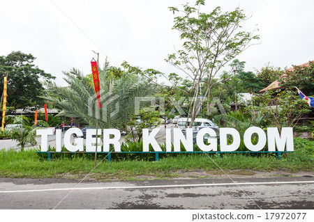 Tiger Kingdom 17972077