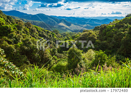 Nothern Thailand landscape 17972480