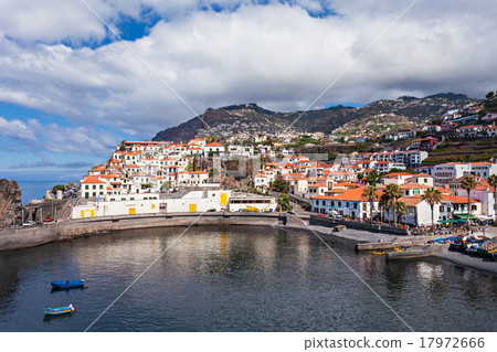 Camara de Lobos Camara de Lobos 17972666