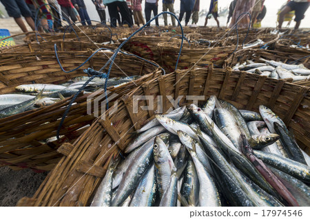 Basket of fishes for trade at shore 17974546
