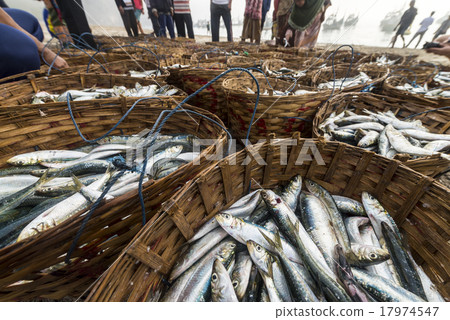 Basket of fishes for trade at shore 17974547
