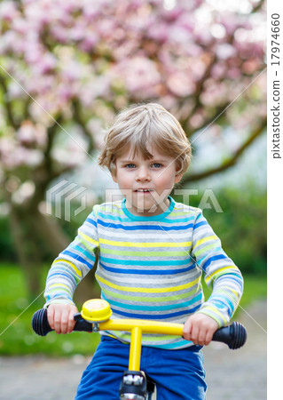 Little toddler kid boy riding with his first bike Little toddler kid boy riding with his first bike 17974660