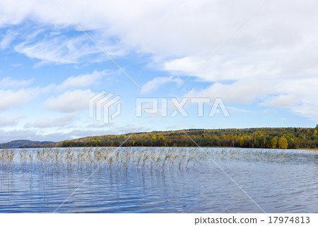 Panorama of wild forest lake in autumn Panorama of wild forest lake in autumn 17974813