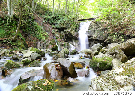 Fish Falls in silence In early fall 2015 Fish Falls in silence In early fall 2015 17975379