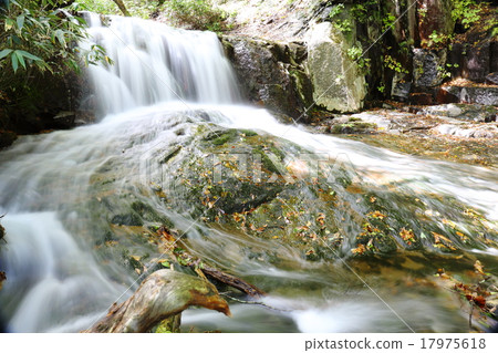 Yeongui Waterfall 2015 early fall 17975618