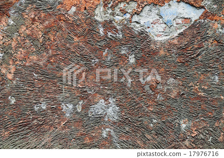 Wall 17976716