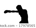 boxing 17978565