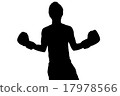 boxing 17978566