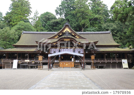 Nara Daisakusa Shrine Nara Daisakusa Shrine 17978936