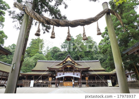 Nara Daisakusa Shrine 17978937