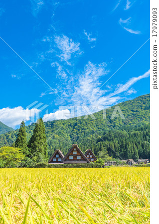 Shirakawa Town in autumn [Villa with rice field] 17979093