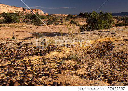 Moki Hill, Utah, USA 17979567