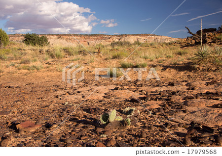 Moki Hill, Utah, USA 17979568