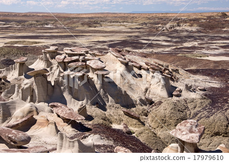 Valley of Dreams, New Mexico, USA Valley of Dreams, New Mexico, USA 17979610