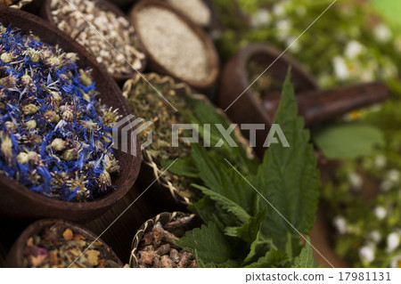 Natural remedy,Herbal medicine and wooden  17981131