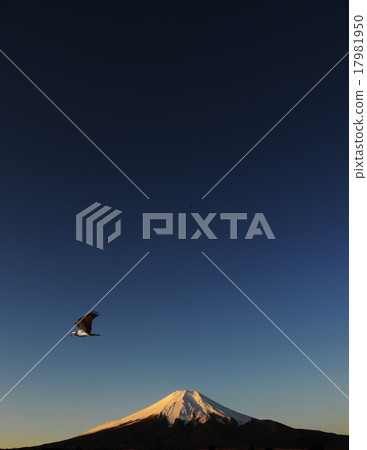 富士山和鷹Osprey魚鷹新年 17981950