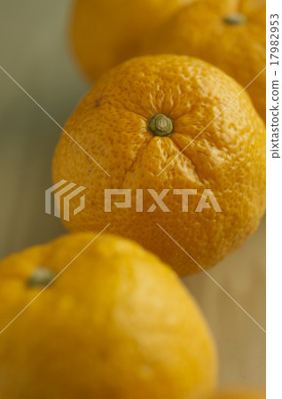 香櫞 17982953