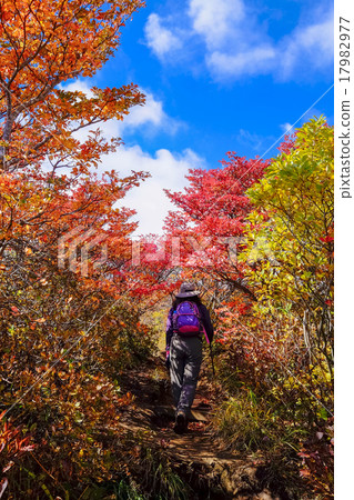 Adaratara mountain climbing road 17982977