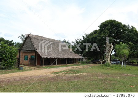 A cottage in Amazon 17983076