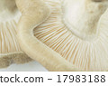 香菇 17983188