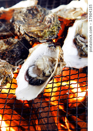 Oyster 17984185
