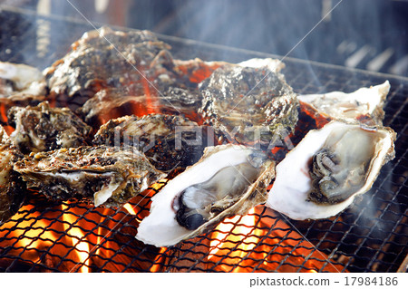 Oyster Oyster 17984186
