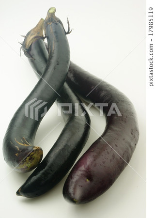 長茄子 17985119