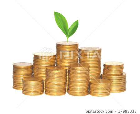 golden coins and green plant isolated on white golden coins and green plant isolated on white 17985335
