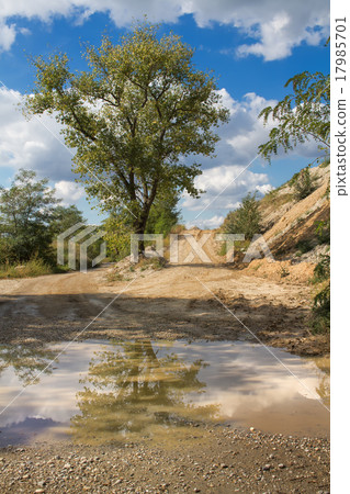 Nature and Reflection in the Paddle 17985701