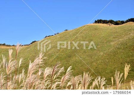 Copy space of Suzuki and blue sky of Senji plateau 17986034