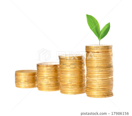 Many columns of gold coins and green plant Many columns of gold coins and green plant 17986156