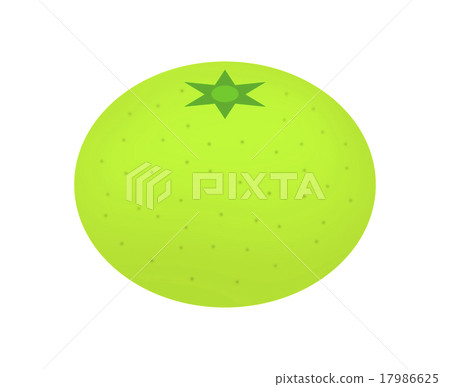 green tangerine 17986625