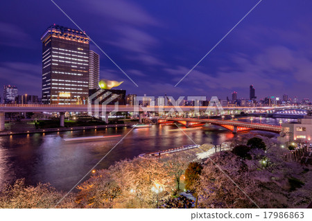 Cherry blossoms at the Sumida River at night 17986863