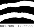 Line Texture 17986900