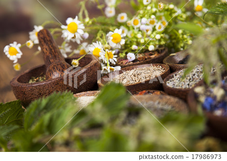 Herbs medicine and vintage wooden background 17986973